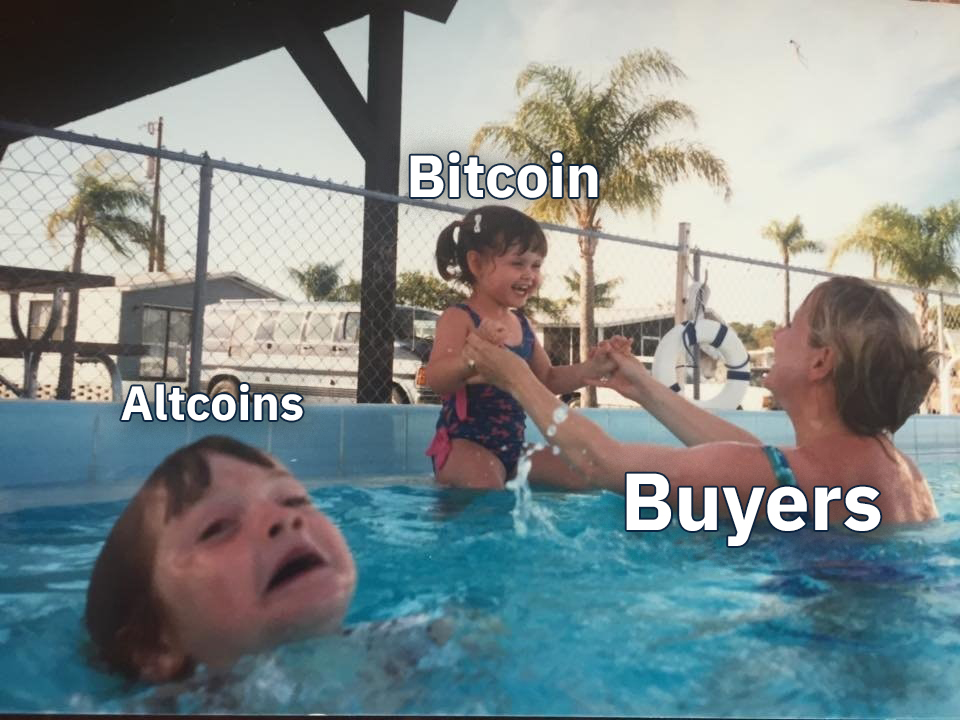 wen #altseason? 🐸