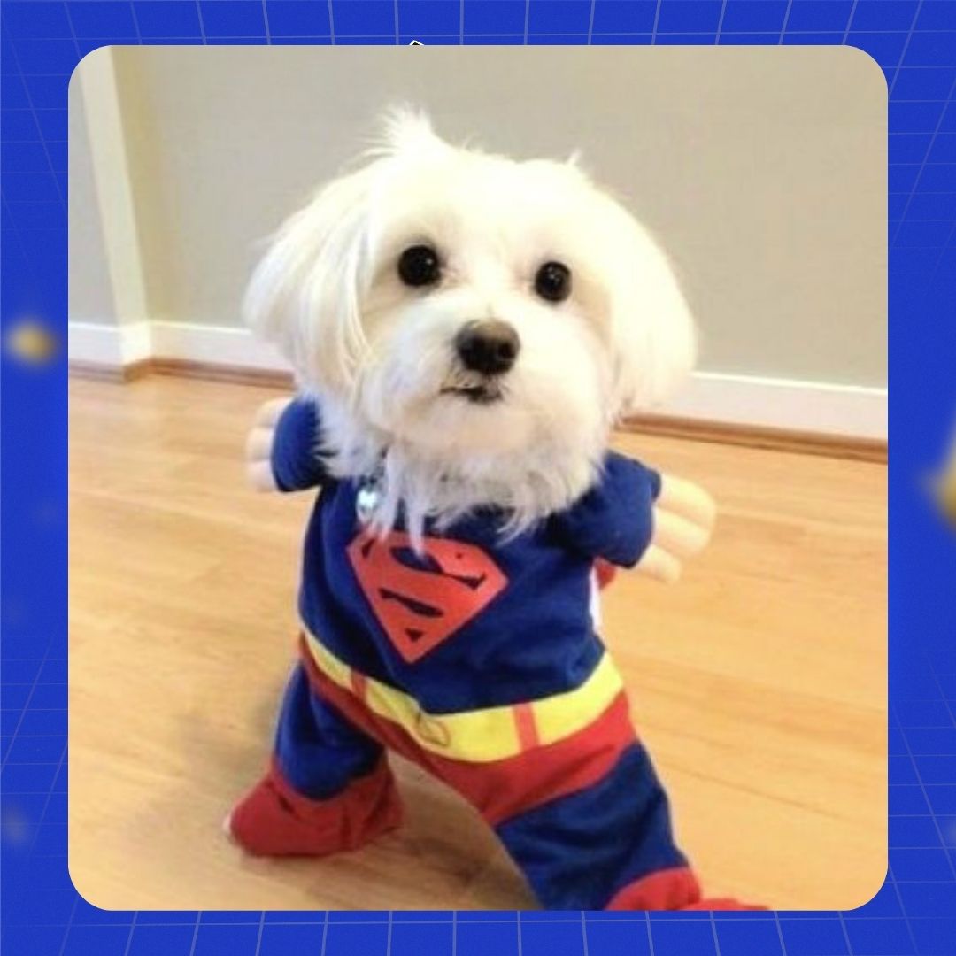 When you realize that being kind is the real superpower! 🦸‍♂️🐶❤️

#WorldKindnessDay