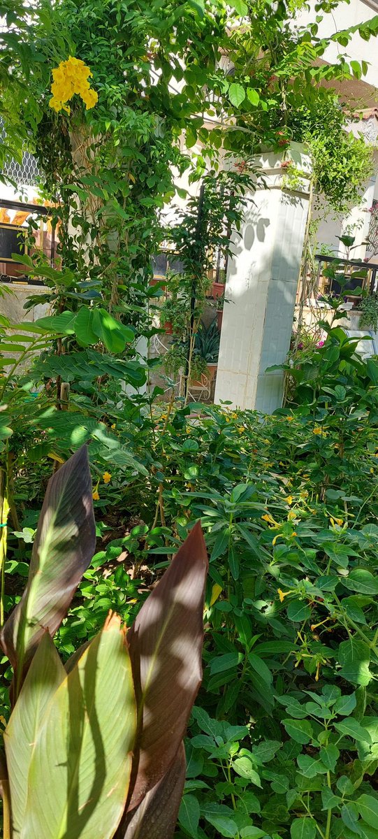 om_mohammad2010's tweet image. #صباحيات
في سن معين يتوقف الإنسان عن الجدال والدخول في نقاشات 
فيصبح يبحث عن راحته النفسية ويضعها في اولوياته
( صباحكم سعادة )🌹🌷⚘️