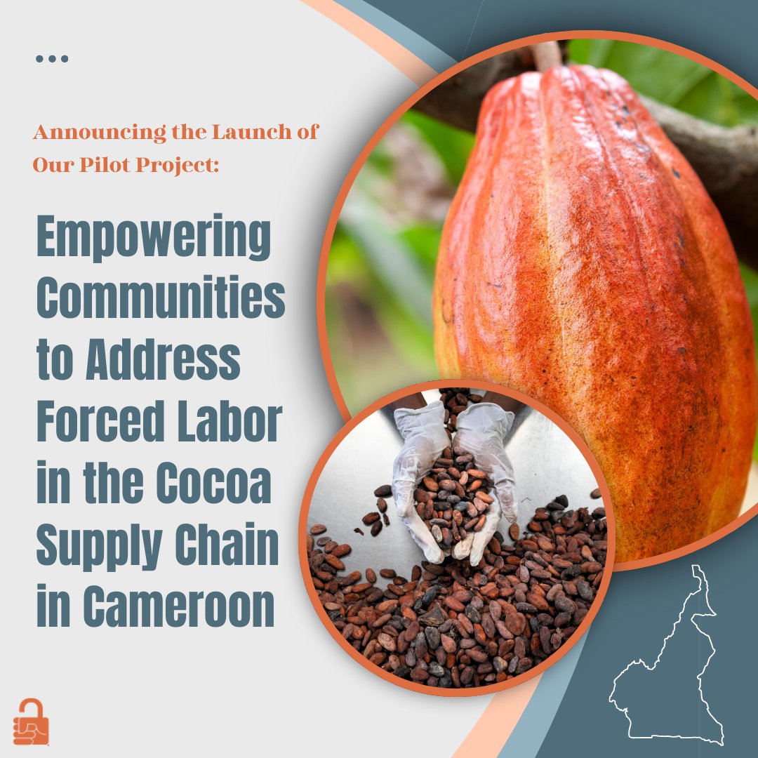 🌍 Announcing Free the Slaves Pilot Project – Empowering Communities to Address Forced Labor in the Cocoa Supply Chain in Cameroon! 🌍

#EndForcedLabor #HumanRights #CommunityLed #Cameroon
