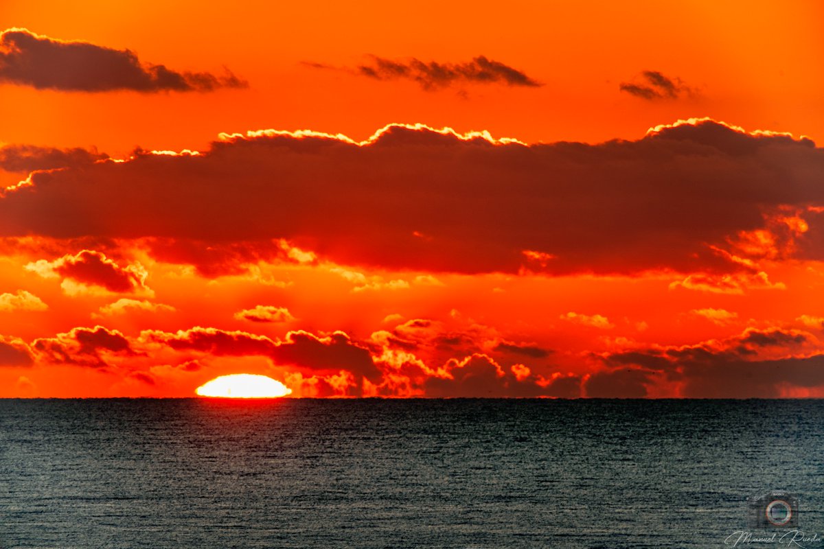 Zappa ۞ tweet media