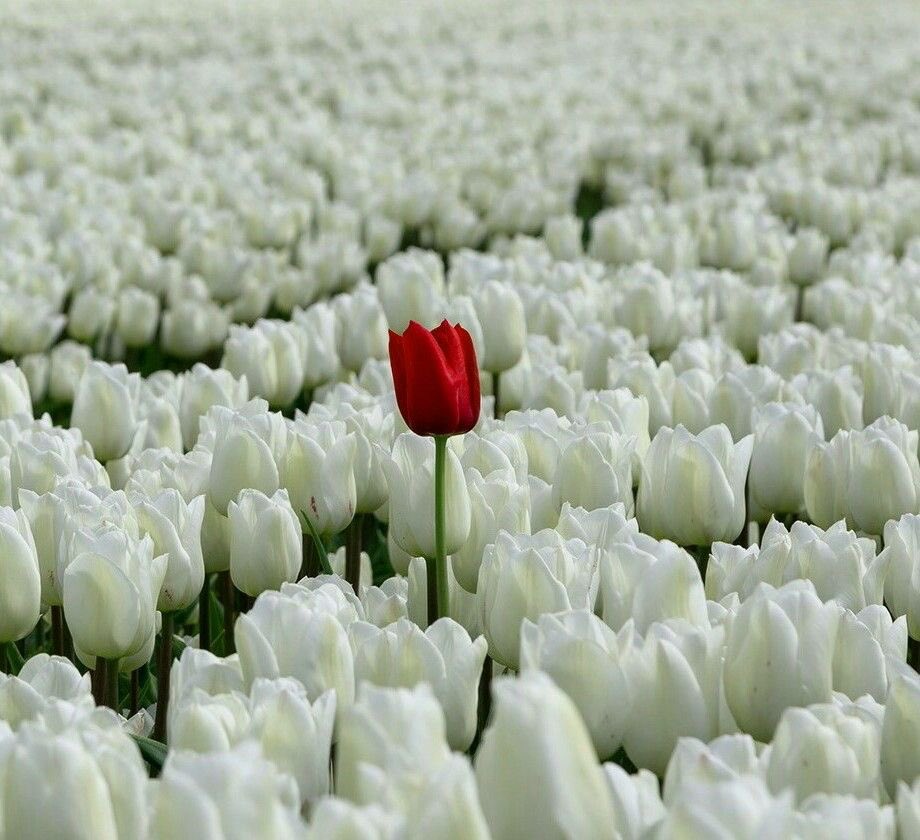 TechStars_Comm's tweet image. Your journey is uniquely yours—and that’s what makes it beautiful. 🌸 Embrace every step!
Up and grateful | iOS 18.2 | Happy new week