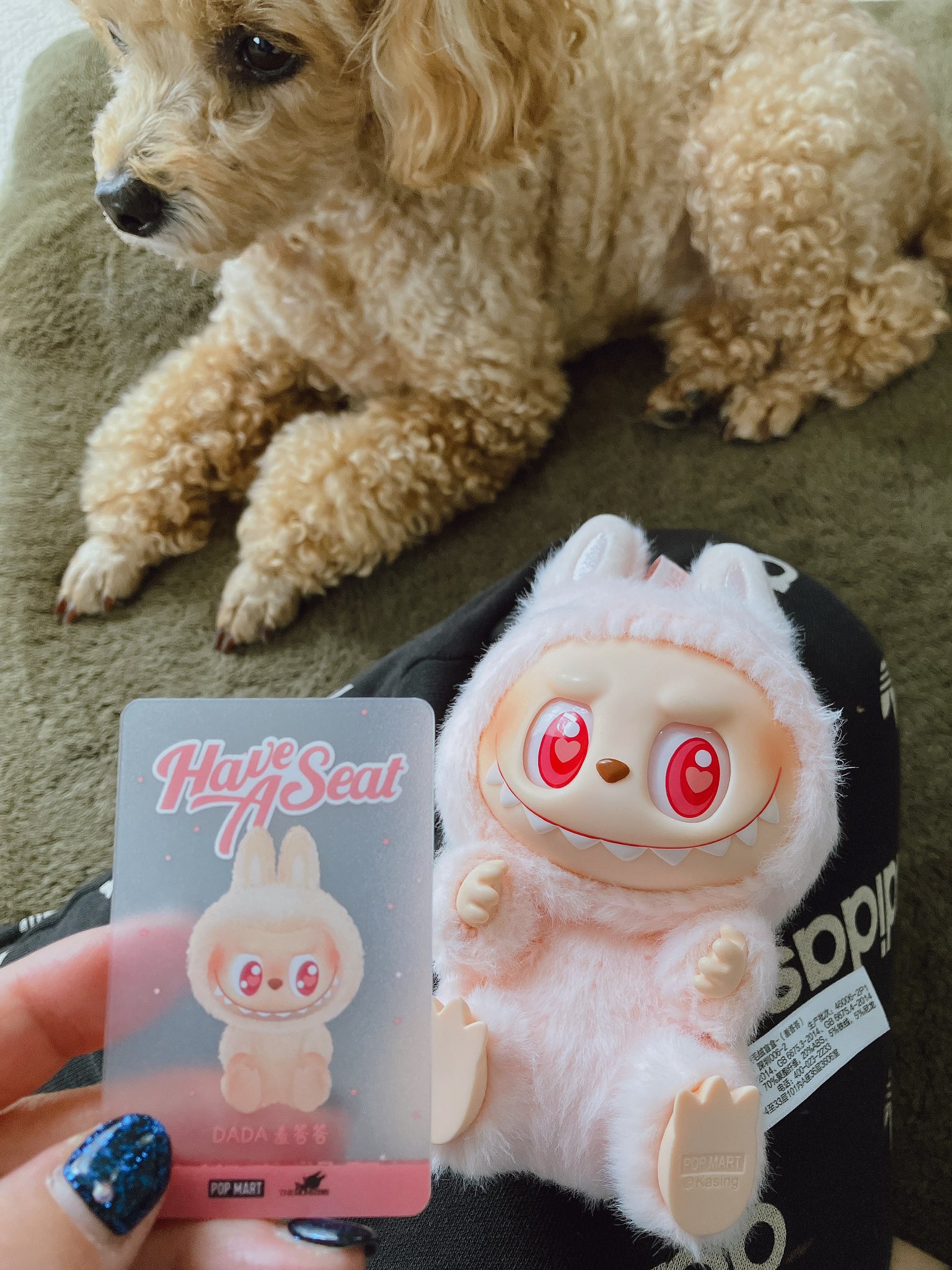 激レア　浜崎あゆみ　愛犬　パピコ　ぬいぐるみティッシュカバー　2個セット 激安正規品 激レア 浜崎あゆみ 愛犬 パピコ ぬいぐるみ