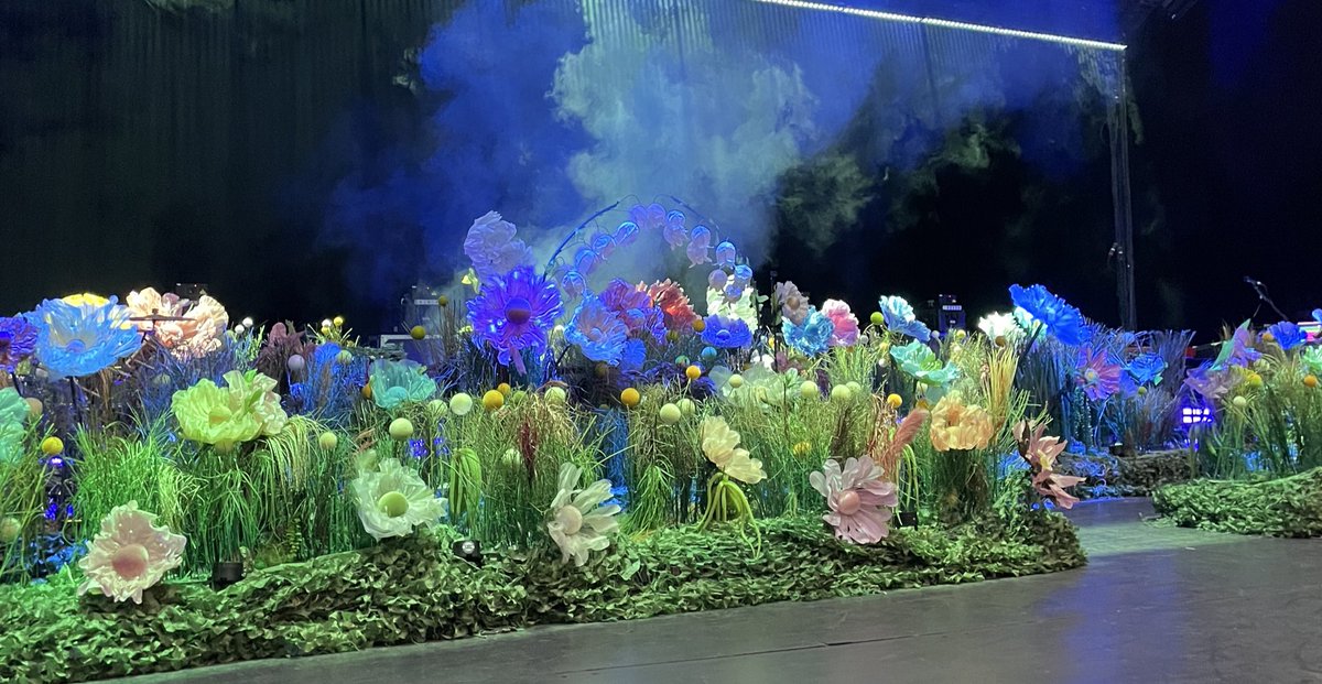 parkershumbe's tweet photo. me voy a poner a llorar cuando vea estas flores en el escenario del auditorio nacional https://t.co/4336dlNOIW