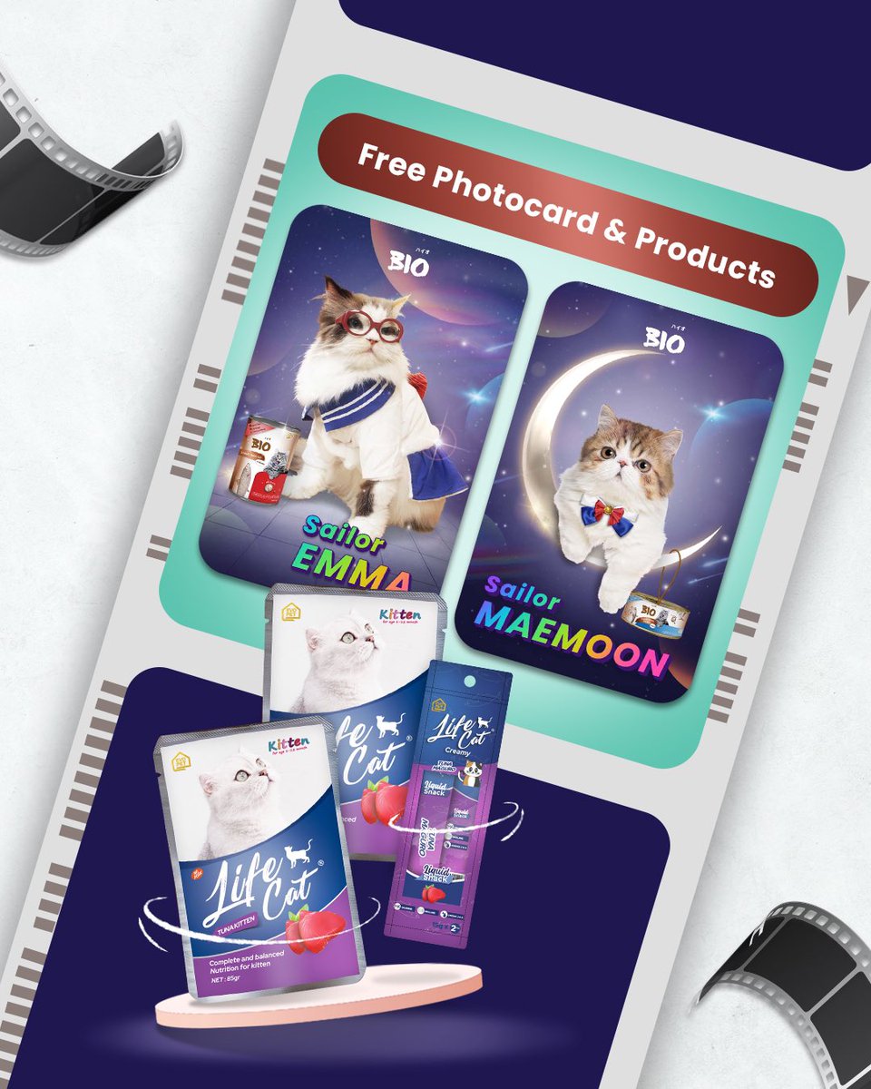 Lifecat | Biocat | Oricat tweet media