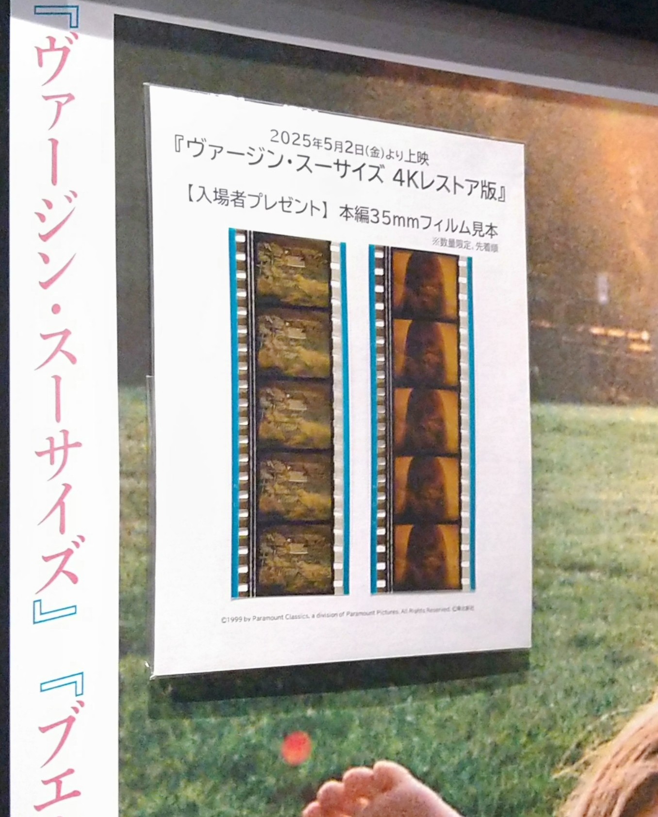 ヴァージンスーサイズ 入場者特典　35mmフィルム ヴァージン・スーサイズ』公開当時の35mmフィルムの入場者