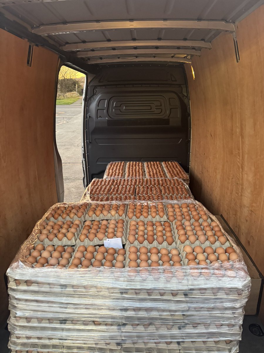 TatwsTrading's tweet photo. Our first collection of the week we buy direct from the Farmer pay what they ask πͺπͺπͺπͺπͺπͺπͺwe ALL make a Living HOW IT SHOULD be πππππππππππππ https://t.co/arMEkFbzRR