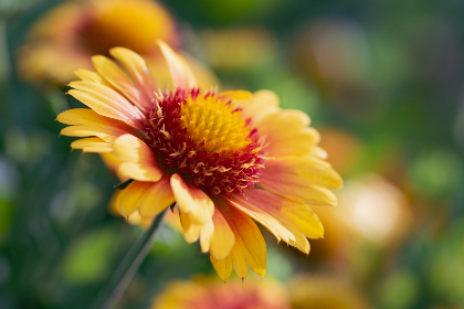 This transparency initiative aligns with the broader goals of decentralized finance, where open and accessible data is seen as crucial for trust and engagement.