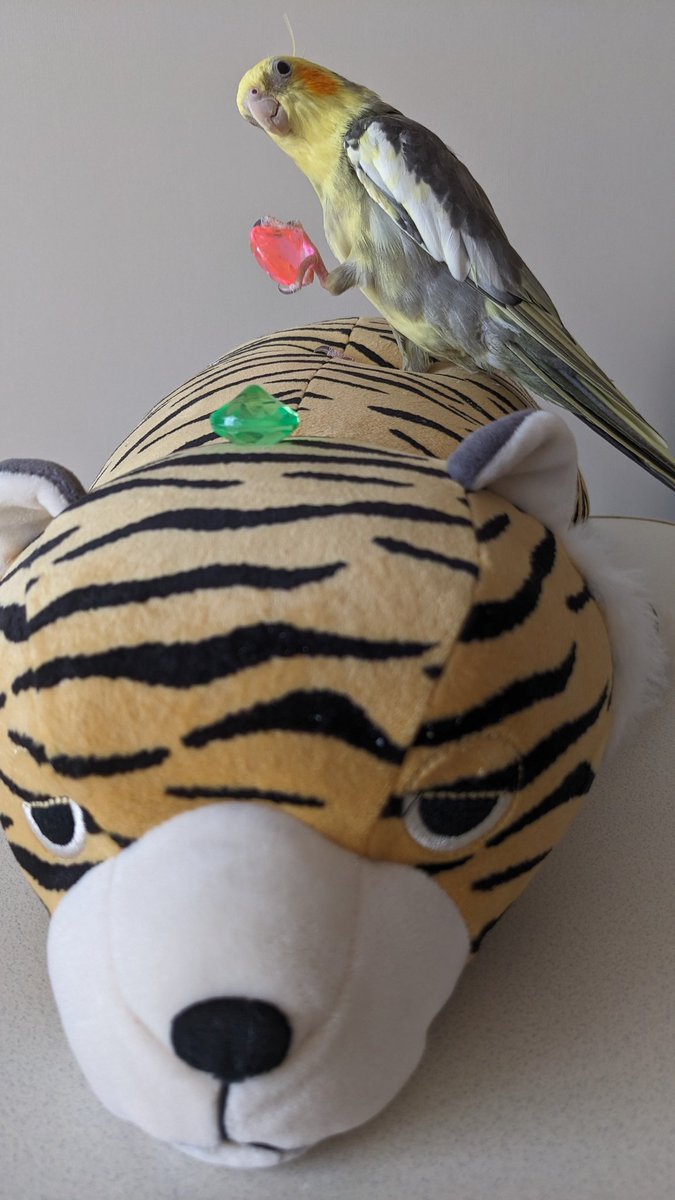 banavani's tweet photo. せーの https://t.co/HSIUIdS3JM