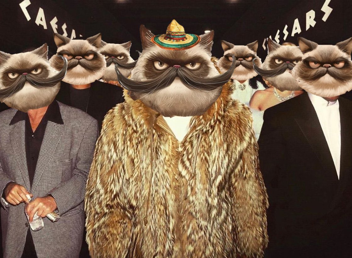 MigoConSol's tweet image. The amigos are in control ⌚️

GMigo!