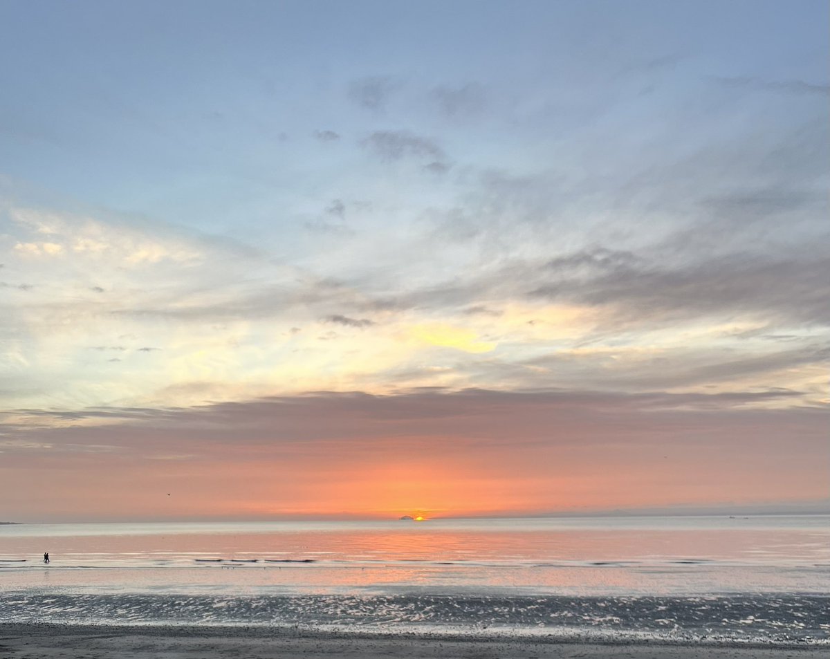 Amanda Kowbel (ковбель) 🏴󠁧󠁢󠁳󠁣󠁴󠁿🇺🇦 tweet media