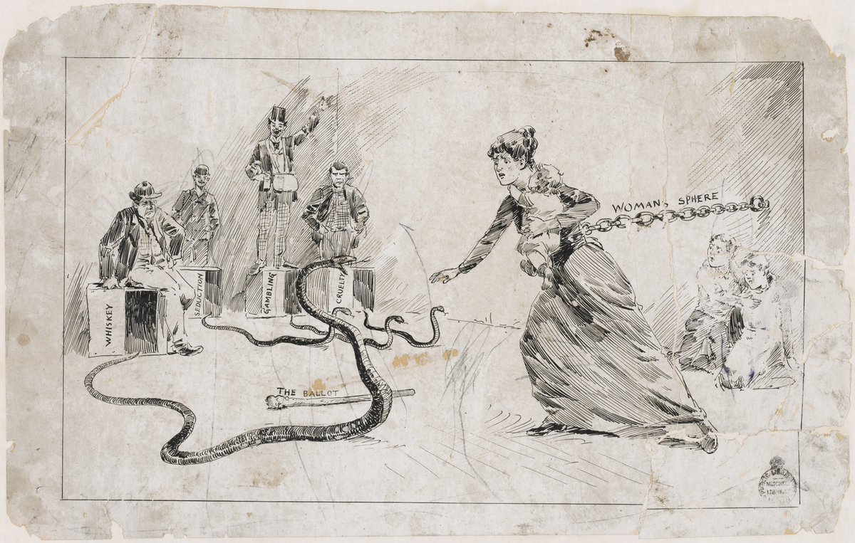 Ana Stevenson @dranastevenson.bsky.social tweet media