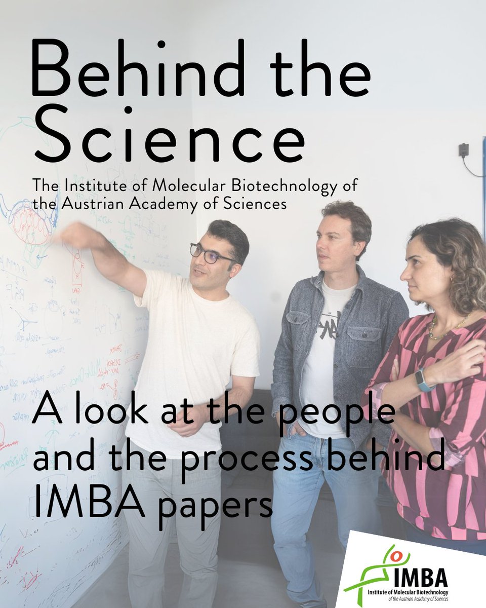 IMBA imbavienna.bsky.social (@imba_vienna) on Twitter photo Recently, scientists at IMBA and <a href="/MPI_MolGen/">MPI for Molecular Genetics</a> for Molecular Genetics revealed a potential "pause button" in the earliest stages of human development. But how did they achieve this fascinating discovery? Read the story behind their collaboration: bit.ly/3NZ3265 Recently, scientists at IMBA and <a href="/MPI_MolGen/">MPI for Molecular Genetics</a> for Molecular Genetics revealed a potential "pause button" in the earliest stages of human development. But how did they achieve this fascinating discovery? Read the story behind their collaboration: bit.ly/3NZ3265