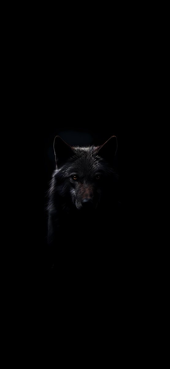 Cinematic Shots (@cinematiclands) on Twitter photo 