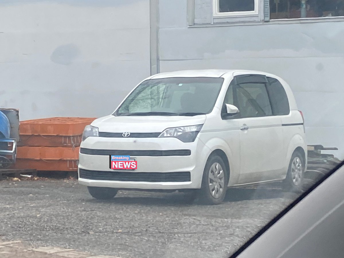 Stripey 🔜TRE KUPLII tweet media