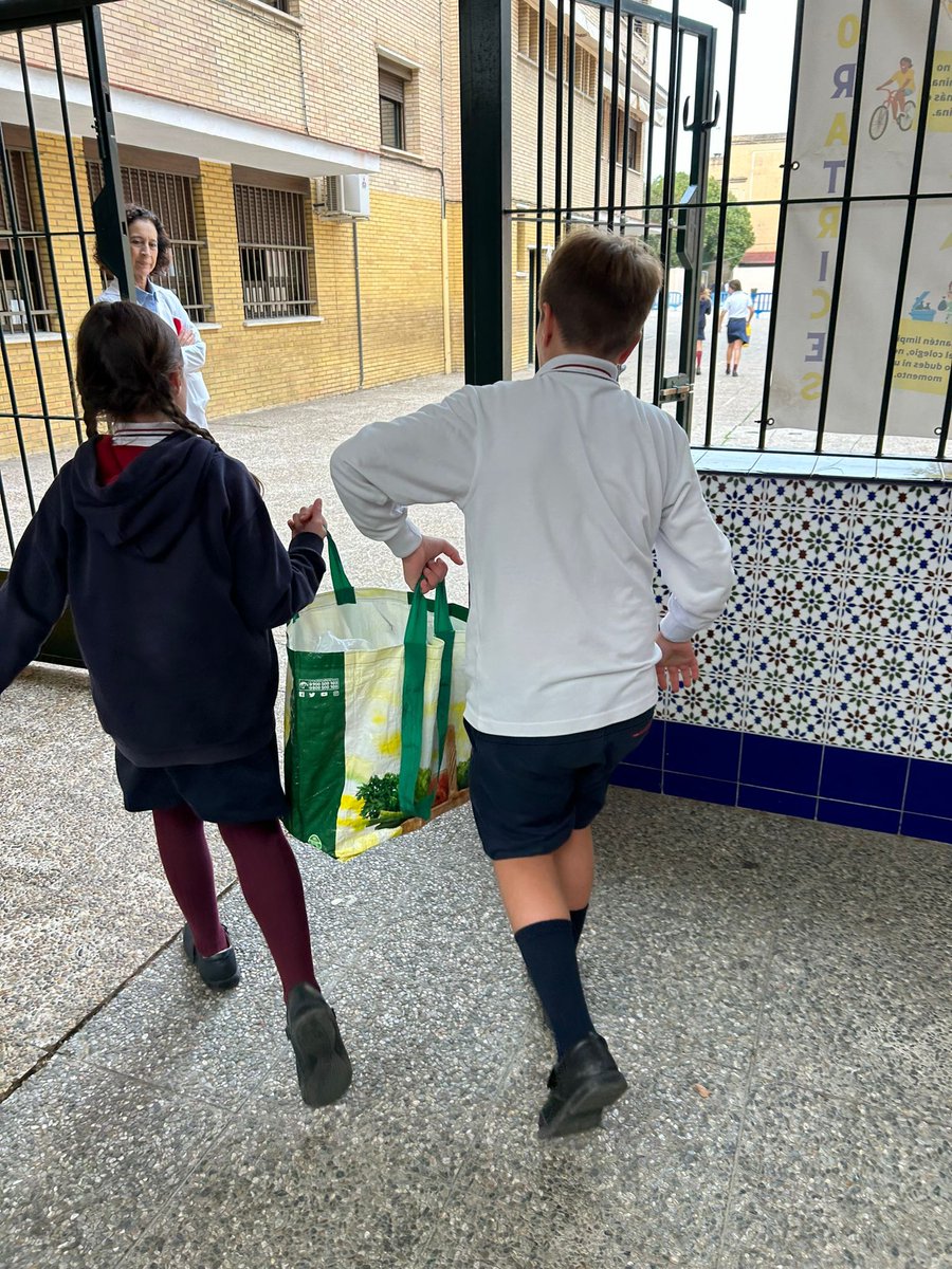 GRACIAS A TODA LA COMUNIDAD EDUCATIVA🙌

Queremos expresar nuestro profundo agradecimiento a todas las familias. alumnos y profesores que han mostrado una gran generosidad, empatía y solidaridad en apoyo a los afectados por la DANA.