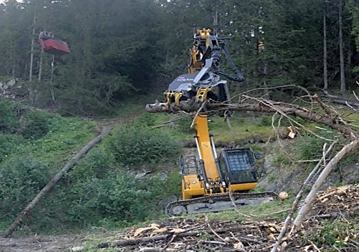 International Journal of Forest Engineering tweet media