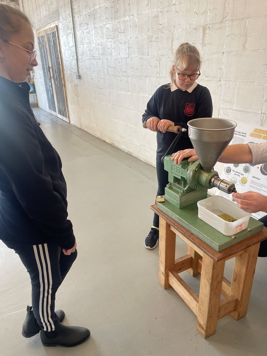 Fair Isle Primary School tweet media