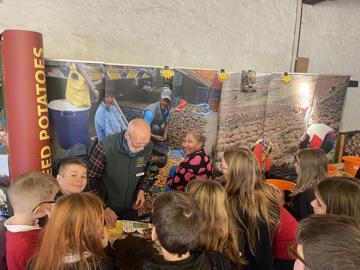 Fair Isle Primary School tweet media