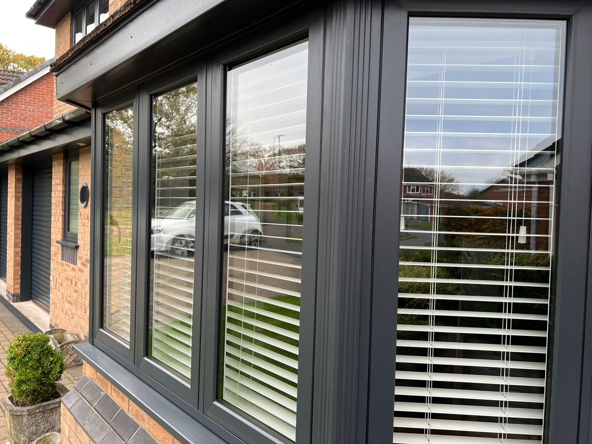 McDermott Windows tweet media