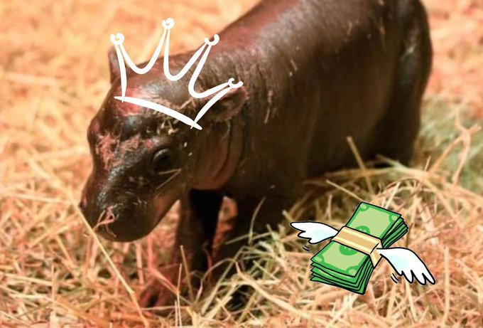 RMM 12.24 tweet media