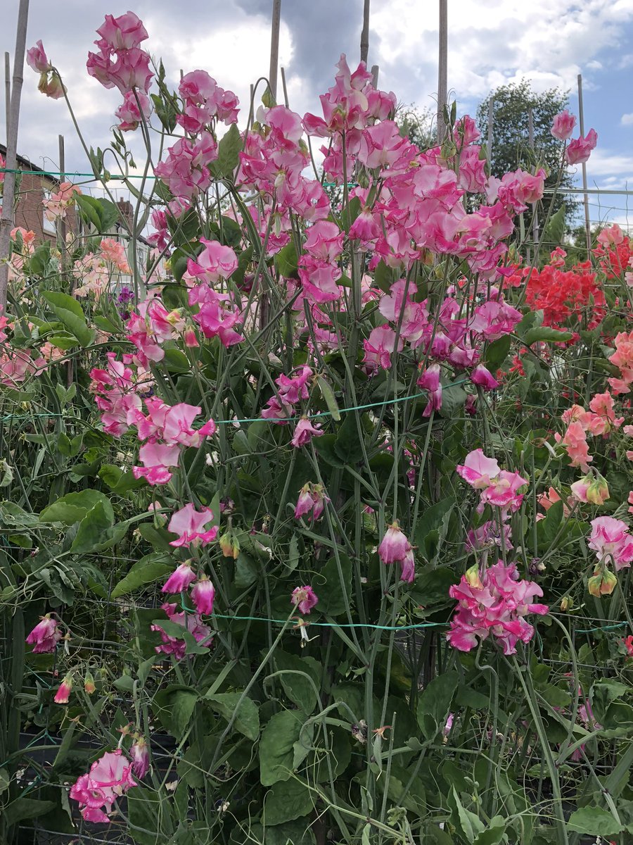 Darren Myers tweet media