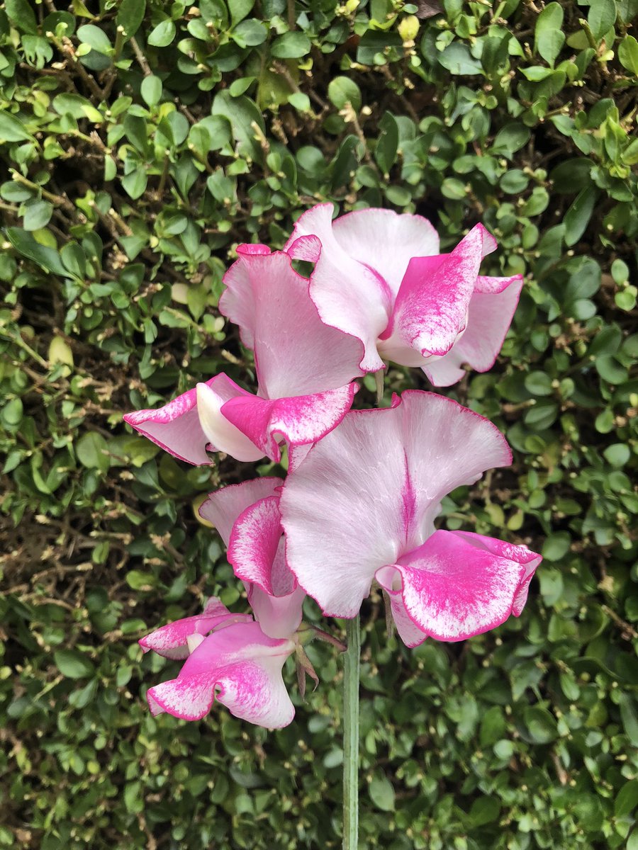 Darren Myers tweet media