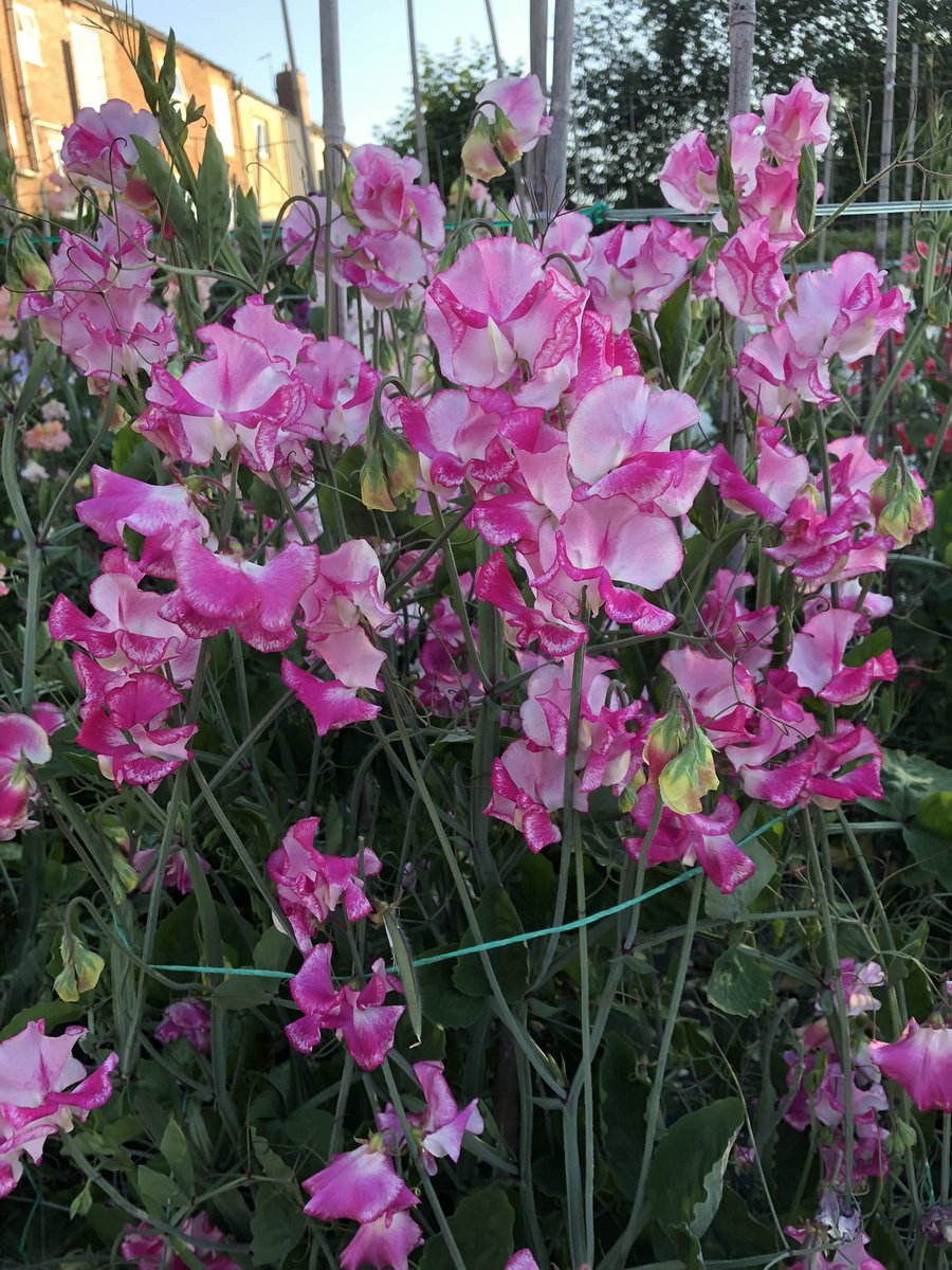 Darren Myers tweet media