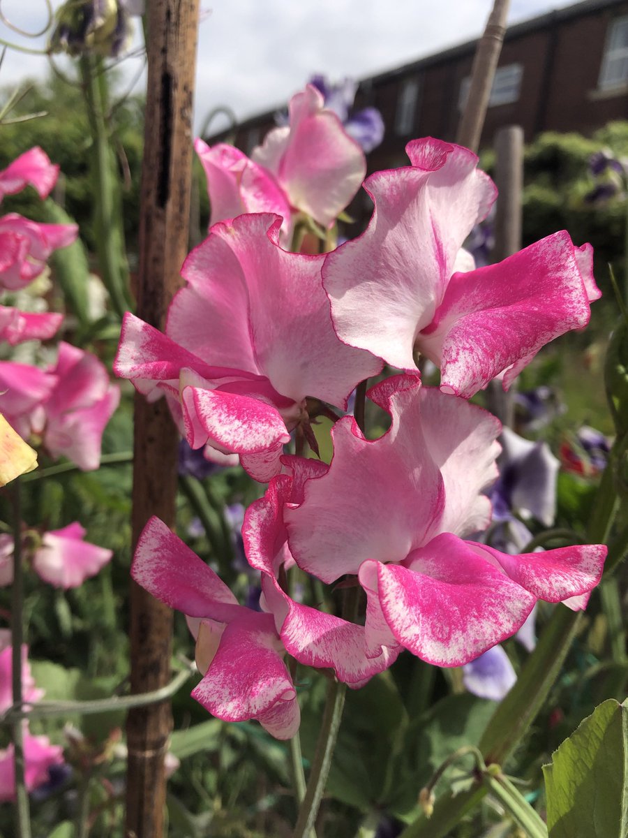 Darren Myers tweet media