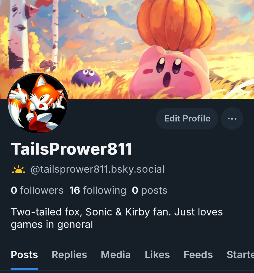 TailsPrower811 tweet media