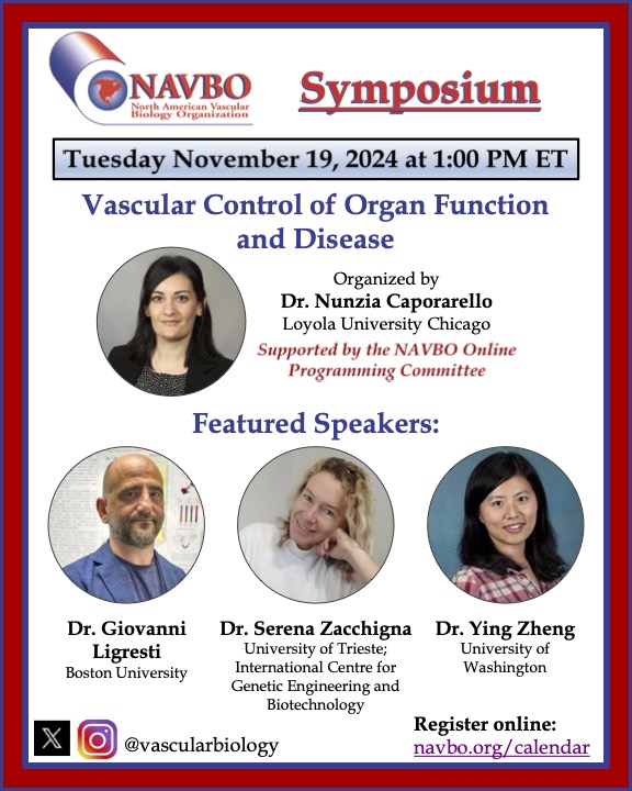 CVB lab (@serenazacchigna) on Twitter photo Very excited and looking forward to this vessel-centered symposium <a href="/vascularbiology/">NAVBO</a> <a href="/NCaporarello/">Nunzia Caporarello</a> <a href="/ICGEB/">ICGEB Official</a> <a href="/UniTrieste/">Università di Trieste</a> Very excited and looking forward to this vessel-centered symposium <a href="/vascularbiology/">NAVBO</a> <a href="/NCaporarello/">Nunzia Caporarello</a> <a href="/ICGEB/">ICGEB Official</a> <a href="/UniTrieste/">Università di Trieste</a>