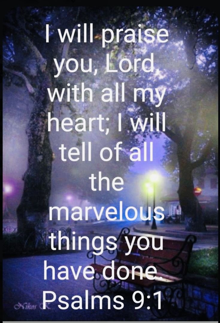 Happy Tuesday, family