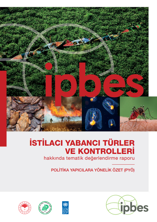 BES_Turkiye's tweet photo. @IPBES İstilacı Yabancı Türler Değerlendirme Raporu’nu Türkçe'ye kazandırdık! 🎉

@undpturkiye katkılarıyla hazırlanan çeviride emeği geçen herkese katkılarından dolayı teşekkür ederiz! 

Çeviriye ulaşmak için: https://t.co/L4Tdbt1fwi https://t.co/ACa8fdWPP0