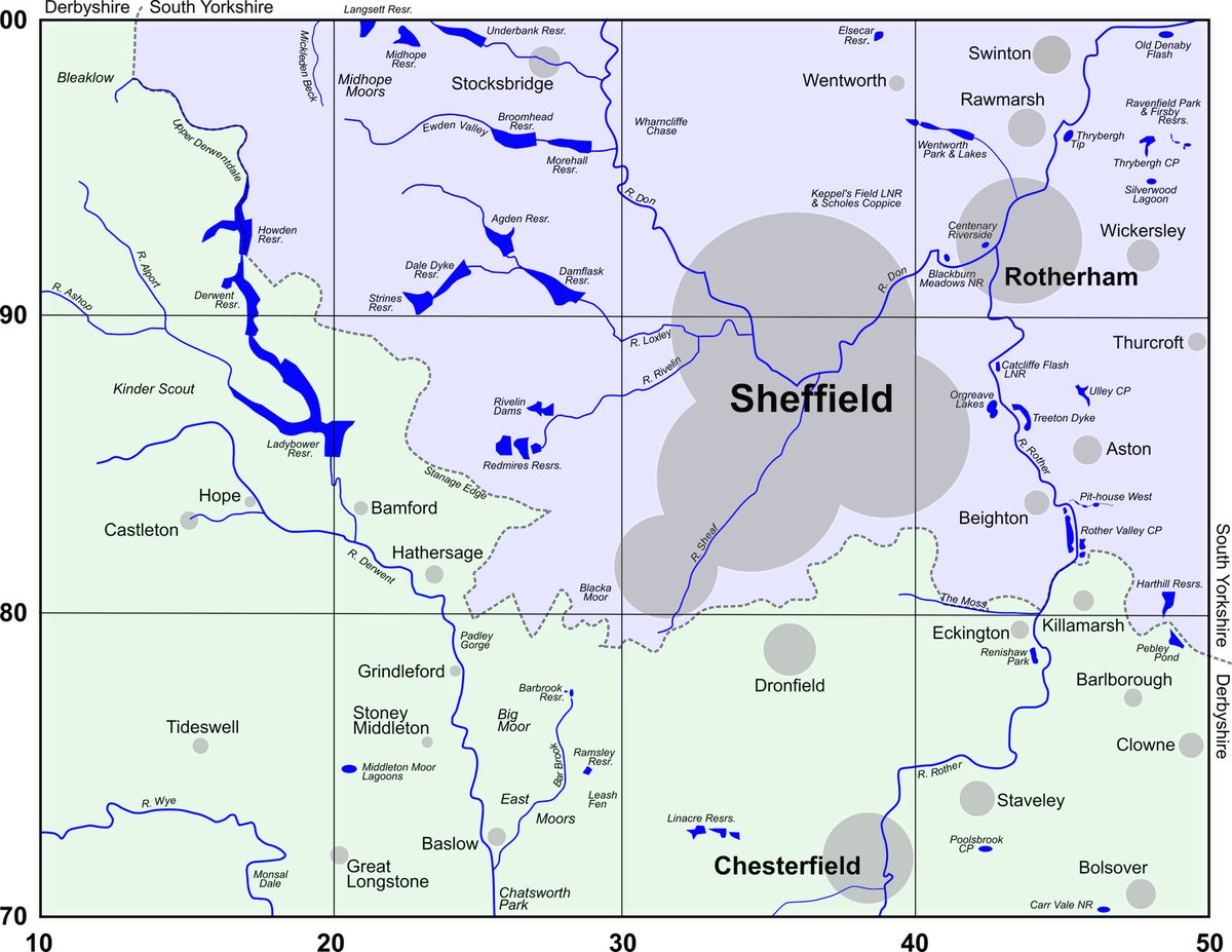 ShefBirdStudyGroup tweet media