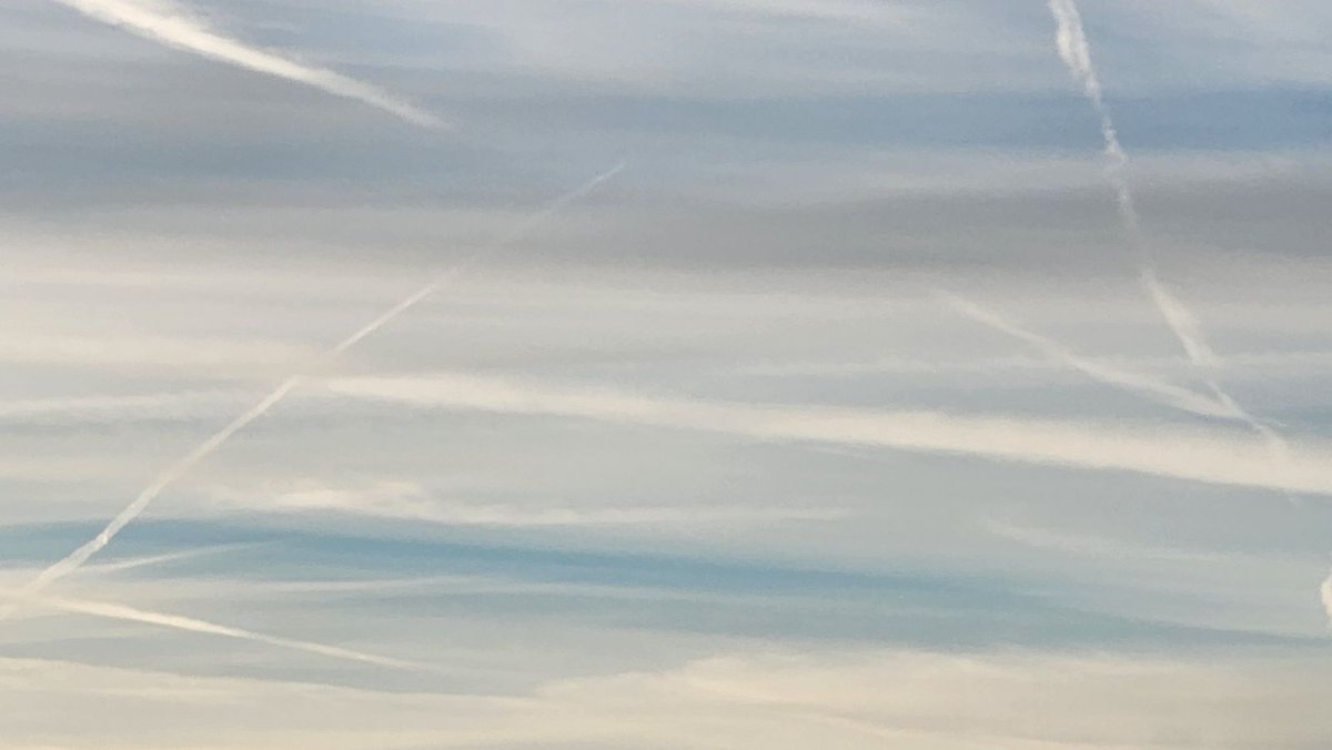 Tina Brown tweet media