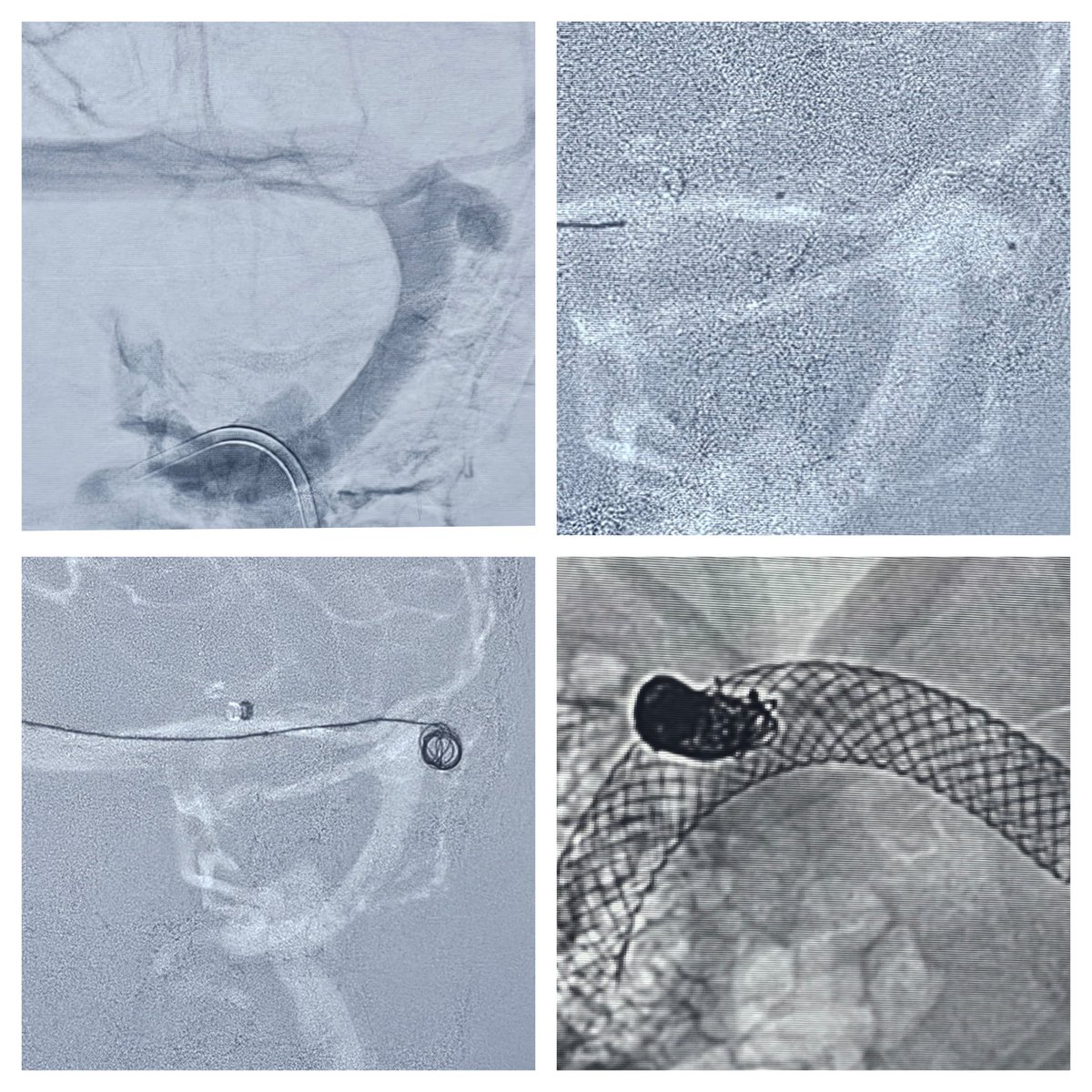 Dr Sharath Kumar G tweet media