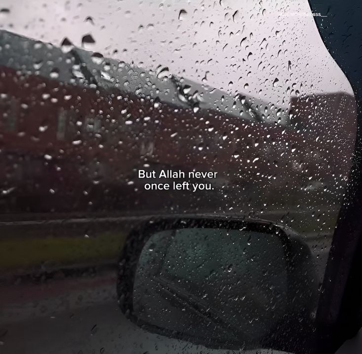But Allah never once left you.