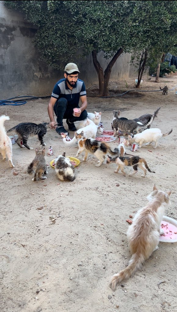 Salam animal care tweet media