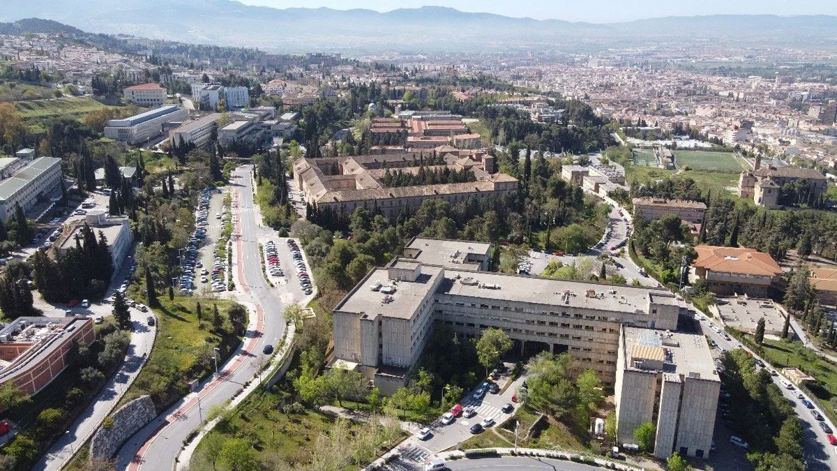 Universidad Granada tweet media