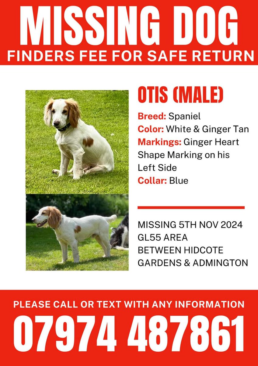 PLEASE HELP BY SHARING THIS POST - WE NEED TO GET HIS FACE KNOWN IN THE AREA.

If you see Otis please contact on the below numbers with his exact location seen &amp; as much information as possible
SOMEONE MUST KNOW OR HAVE SEEN SOMETHING 

doglost.co.uk/dog-blog.php?d…