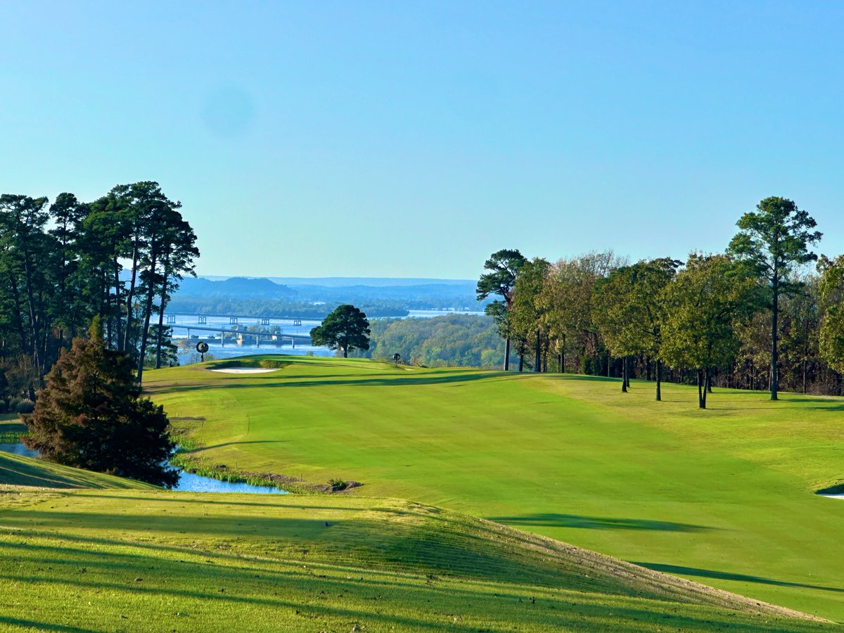 Rick Golfs tweet media