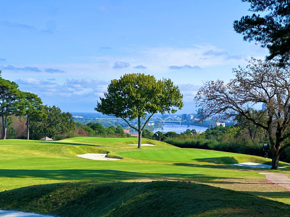 Rick Golfs tweet media