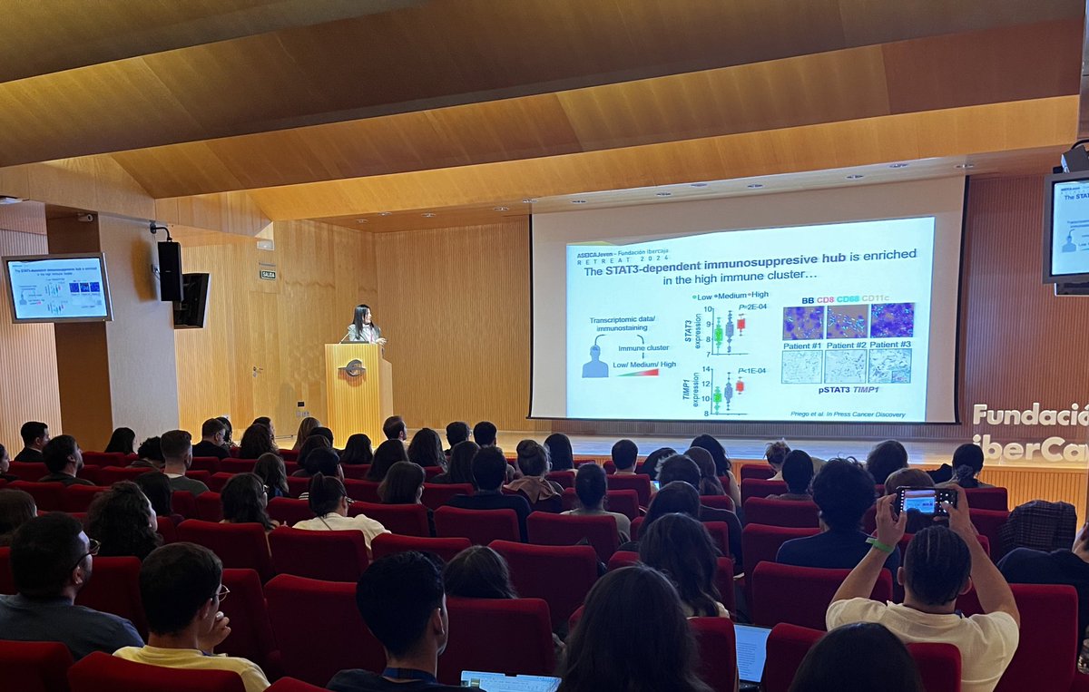 ASEICA (@aseicanews) on Twitter photo 👉🏻 We are halfway our second scientific session
We keep leraning about the latest news in cancer research 🔬
📍 <a href="/FundIbercaja/">Fundación Ibercaja</a>
Thank you Daniel Álvarez <a href="/Beiii22/">Beatriz Parejo</a> Neibla Priego <a href="/KassYoussef_K/">Khalil Kass Youssef</a> <a href="/EspeePozo/">Esperanza Pozo</a> 👉🏻 We are halfway our second scientific session
We keep leraning about the latest news in cancer research 🔬
📍 <a href="/FundIbercaja/">Fundación Ibercaja</a>
Thank you Daniel Álvarez <a href="/Beiii22/">Beatriz Parejo</a> Neibla Priego <a href="/KassYoussef_K/">Khalil Kass Youssef</a> <a href="/EspeePozo/">Esperanza Pozo</a>