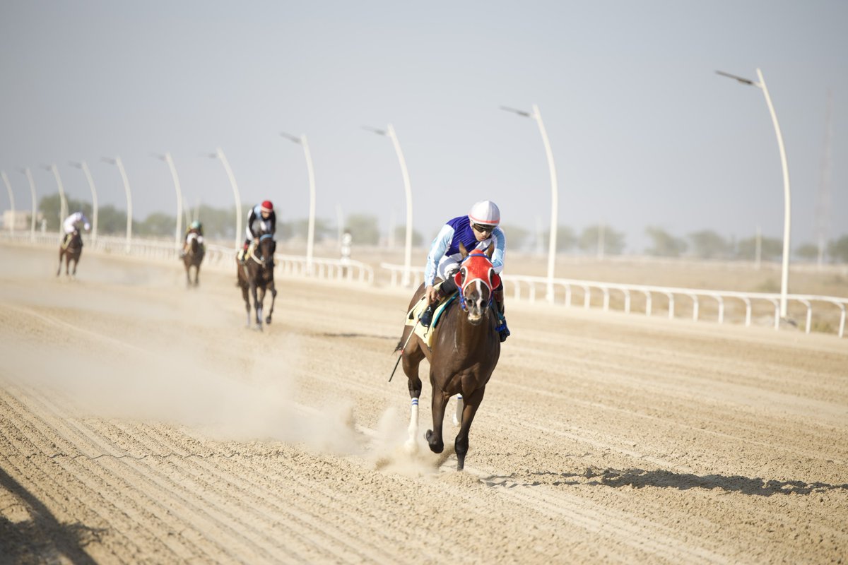 ميدان فروسية الخفجي tweet media
