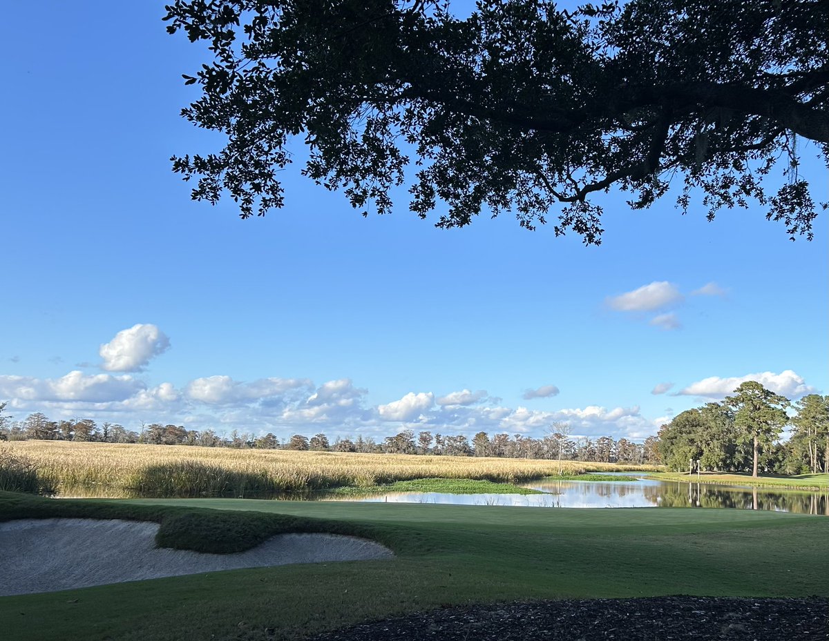 CaledoniaGolfFi's tweet image. Another 🤩 “NovemberToRemember” Day 😎 Go Play! @MyrtleBeachGolf @MyMyrtleBeach @HammockCoastSC @Discover_SC #november2remember #myrtlebeachgolf #pawleysisland #hammockcoastsc #mikestrantzdesign