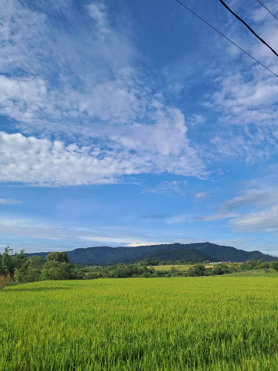 Elsanaginting_'s tweet image. Mata sehat dan udara segar😍☺️ #Pemandangan #Sejuk