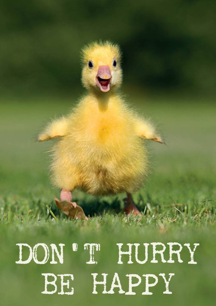 Quintin24's tweet image. "Working ahead" is really underestimated. It ensures that you are structurally less hasty and deliver better quality work on the topics that are really important. #basics #timemanagement #focus