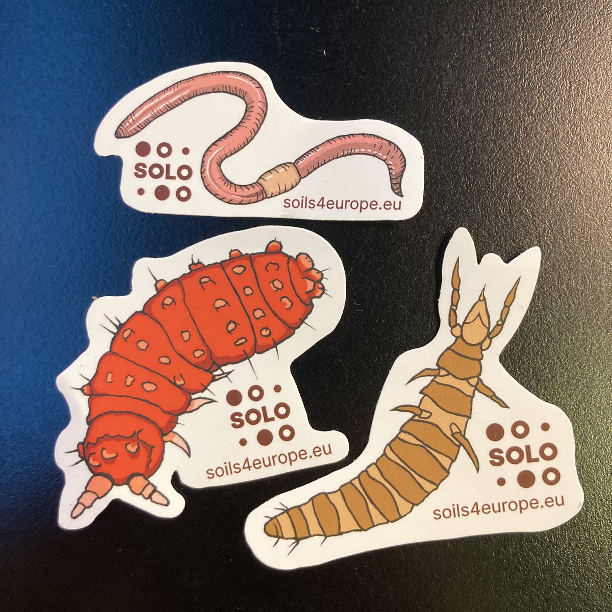 Monica A. Farfan, Ph.D. (she/her) (@mitemonica_) on Twitter photo Happy to rep <a href="/soils4europe/">Soils for Europe</a> at #MissionSoilWeek in #Brussels #Belgium 🌱🍄🪱
Come find me for some SOLO sticker love! Happy to rep <a href="/soils4europe/">Soils for Europe</a> at #MissionSoilWeek in #Brussels #Belgium 🌱🍄🪱
Come find me for some SOLO sticker love!
