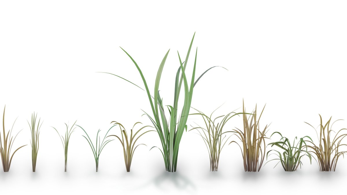 The Secrets of Procedural Grass

Make Grass in Blender! In this tutorial by Kenan Proffitt, you'll master the power of Blender's shader editor to construct a fully procedural grass material. Learn how to apply this to a ...

blendernation.com/2024/11/12/the…

#blender #blender3d #b3d
