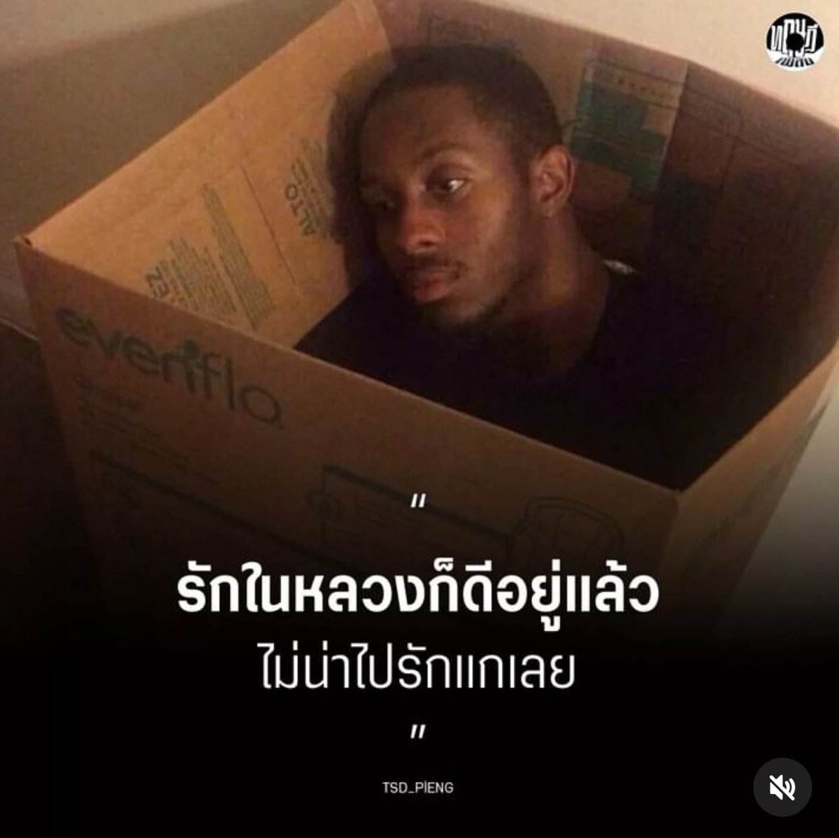 ใครสักคนกล่าวไว้ tweet media